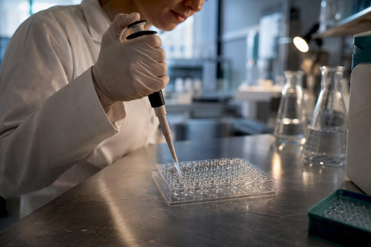 Researcher preparing NAD+ enzyme assay