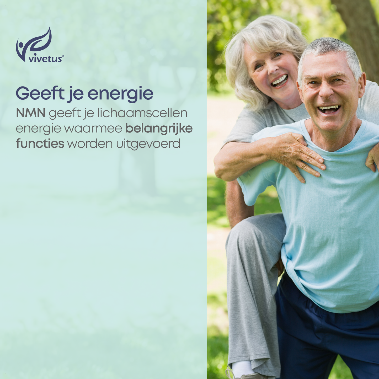 Vivetus® Polvere di NMN  