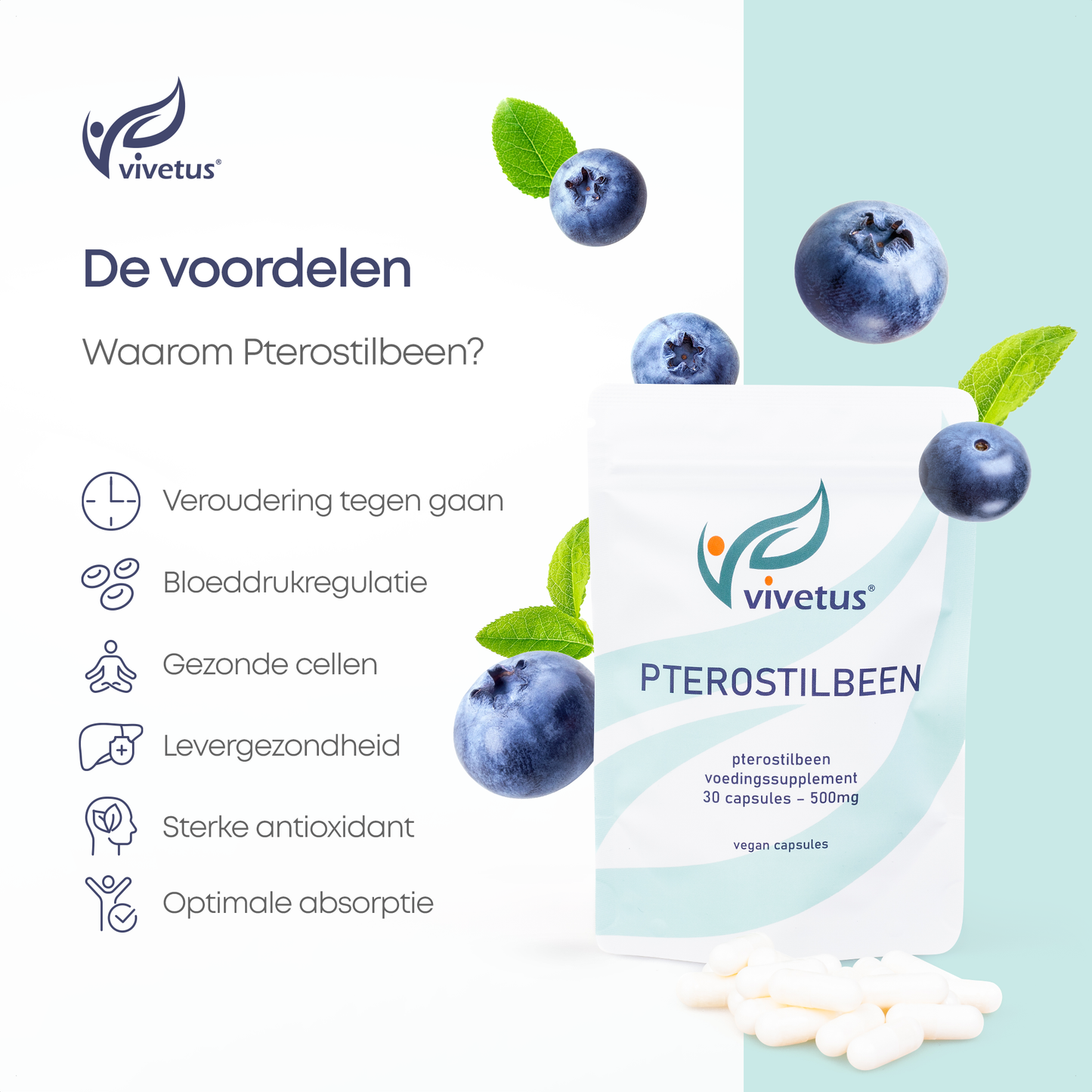 Vivetus® Pterostilbene - 60 capsules - 500mg