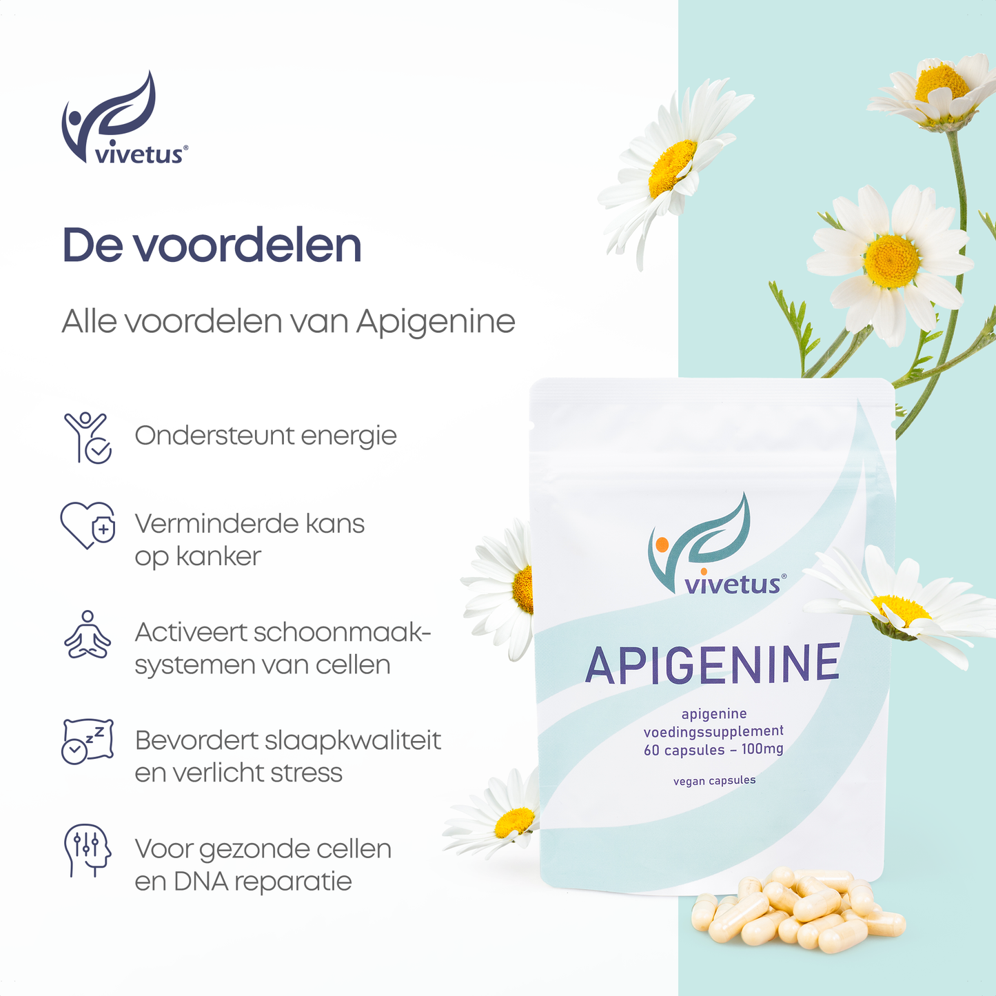 Vivetus® Apigénine - 60 gélules - 100mg